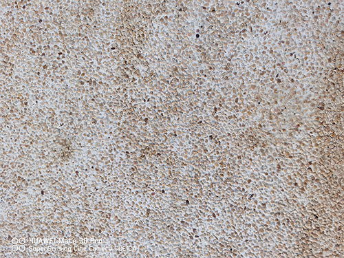 水洗石路面圖片